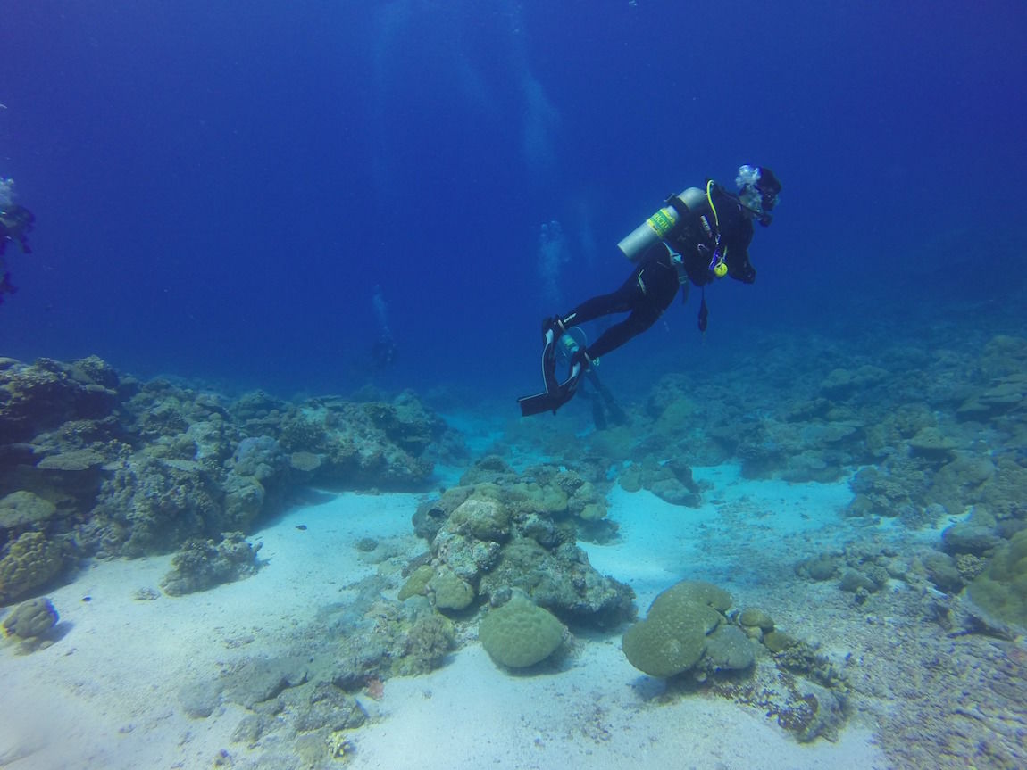 The Best Reasons Why You Need to Try Scuba Diving on Your Next Trip